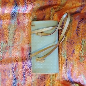 Arcadia genuine leather patent mint bag